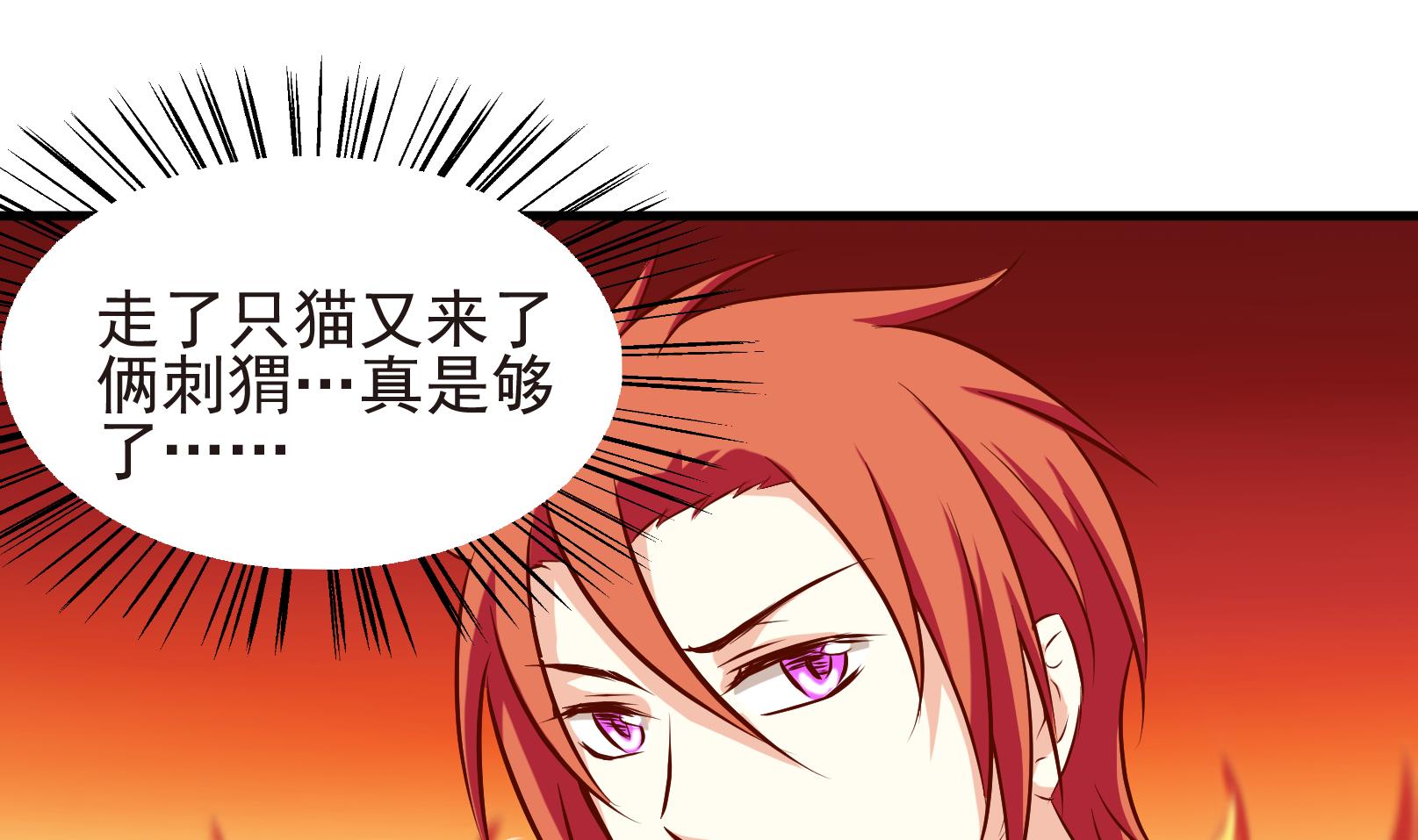 《鼠辈至上,猫辈走开》第38话 麻烦转校生 四 第14页
