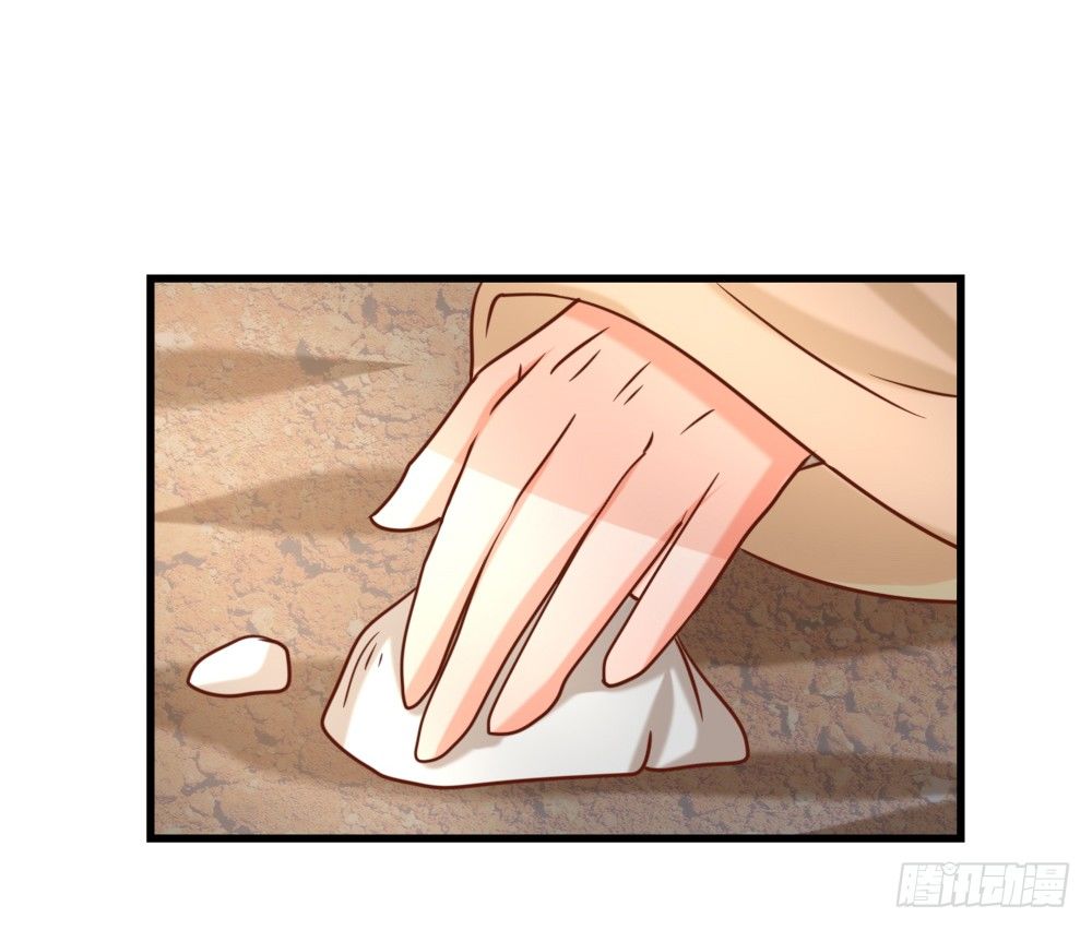 《红颜不亡国》合作擒敌 第41页
