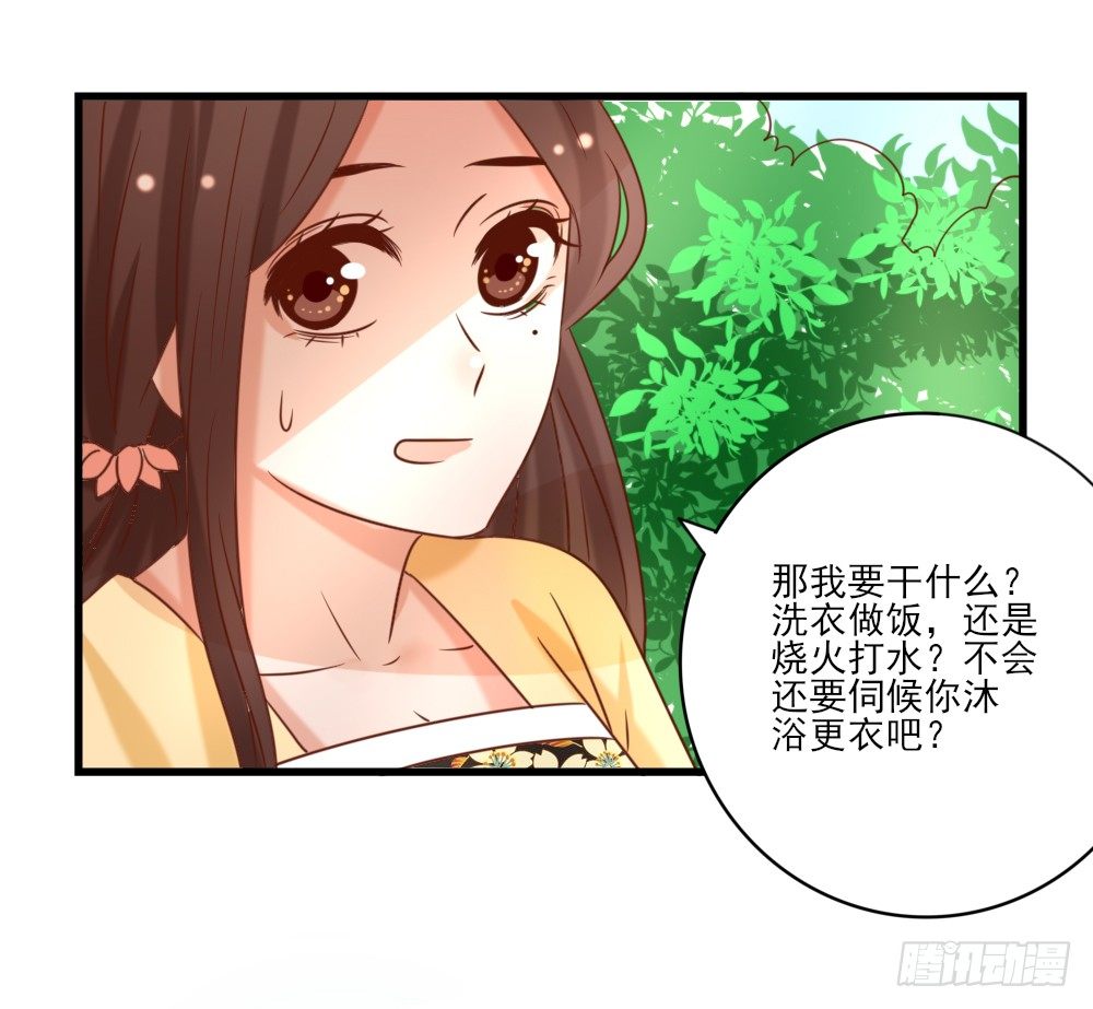《红颜不亡国》做我丫鬟 第35页