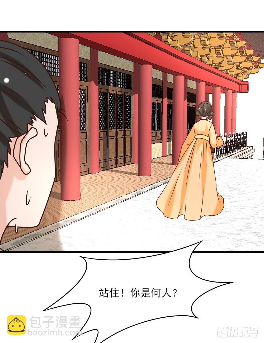 《红颜不亡国》寿宴争锋 第18页