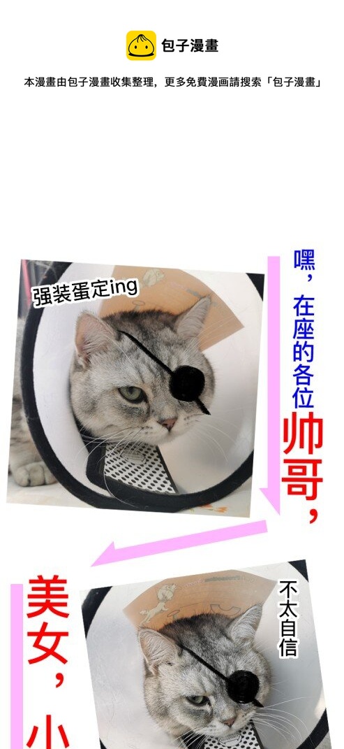 《窥光》请假条 请假条 第1页