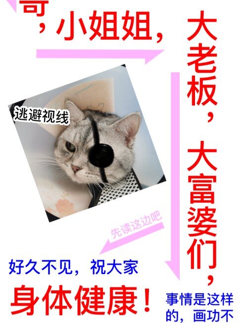 《窥光》请假条 请假条 第2页