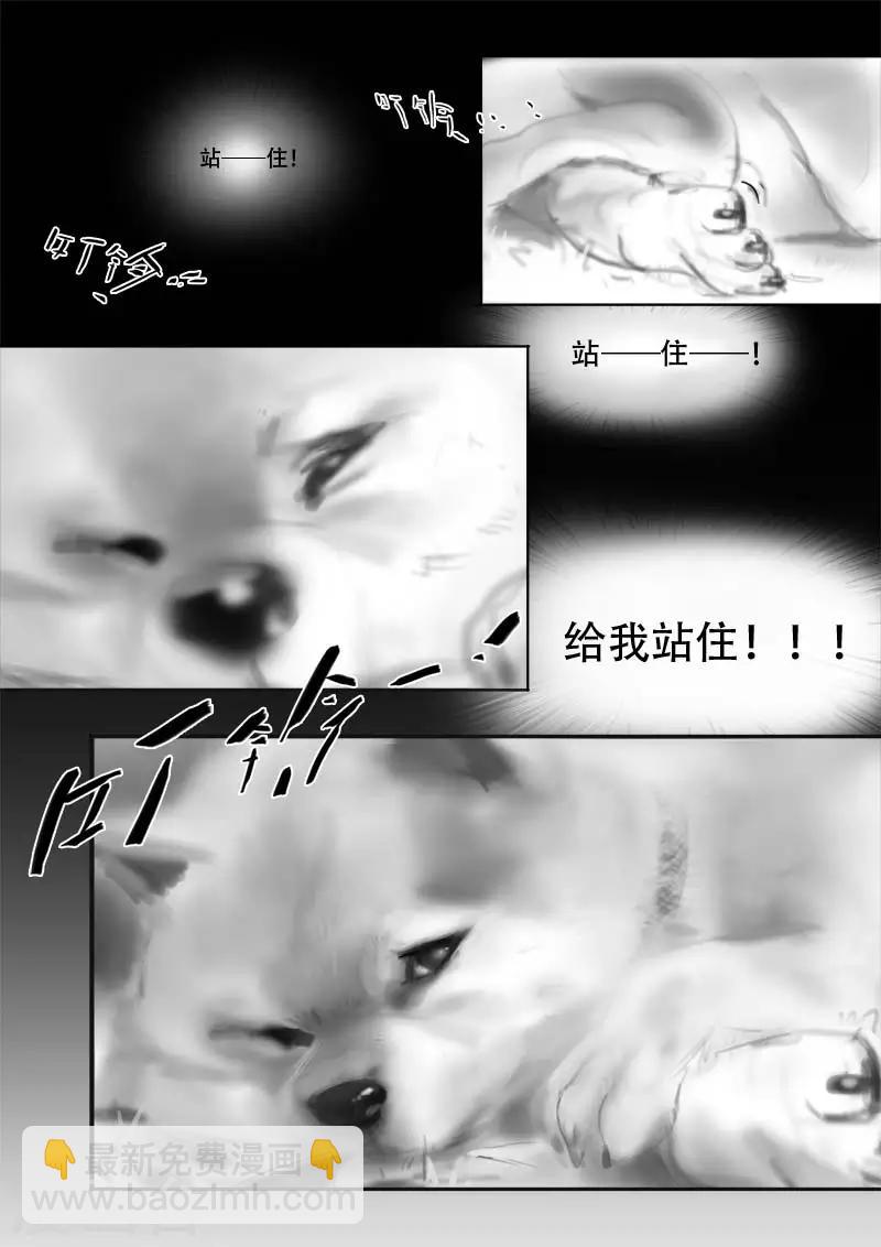 《九道妖》第1话 相遇 第12页