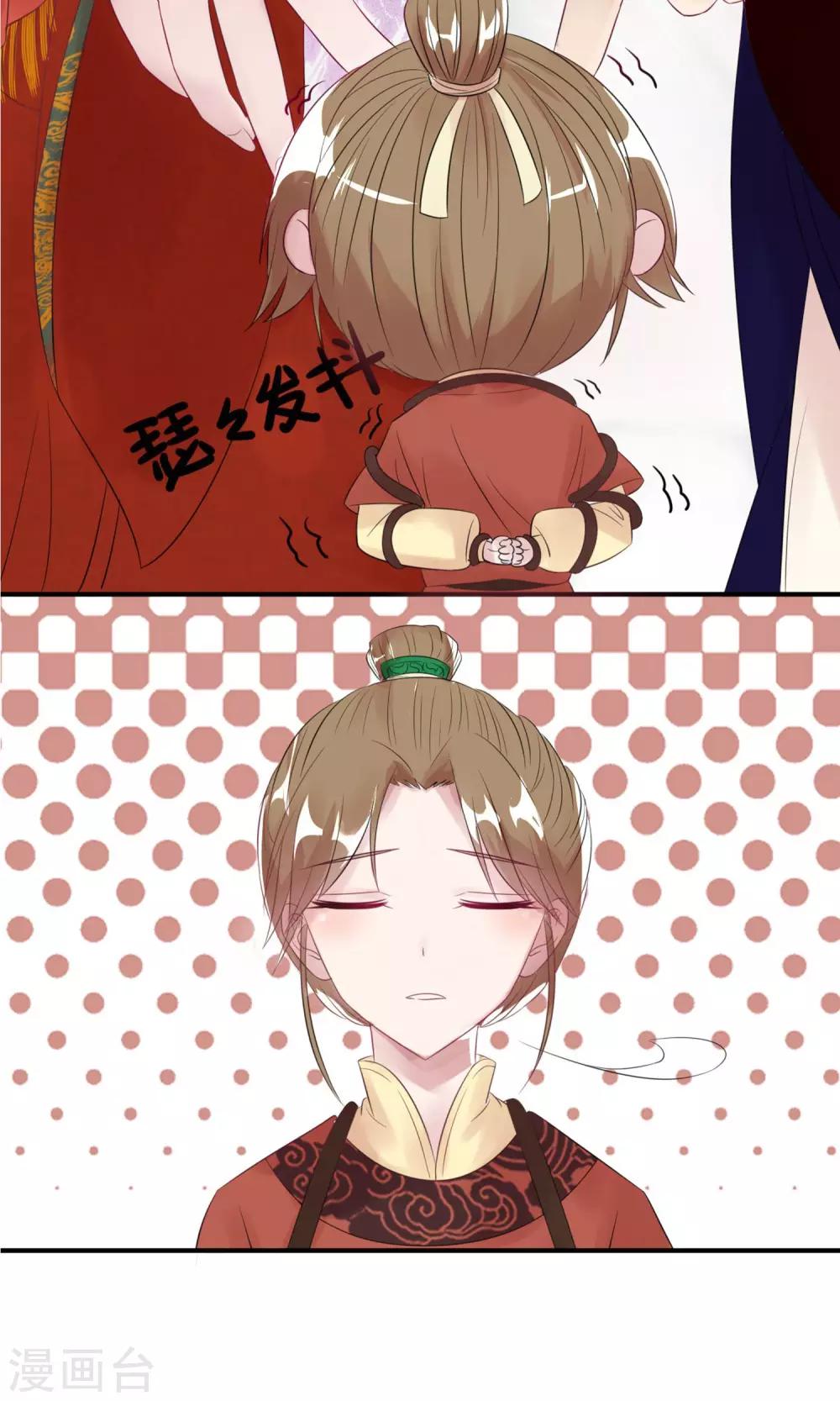 《风流王爷俏驸马》预告 第13页