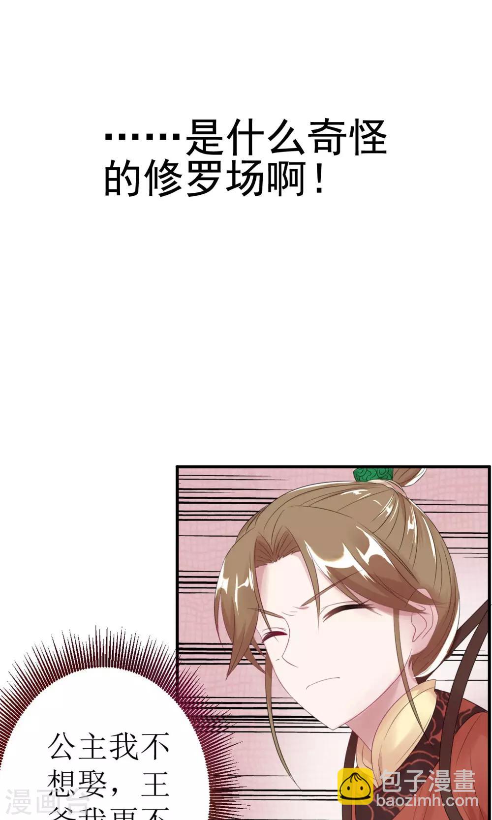 《风流王爷俏驸马》预告 第14页