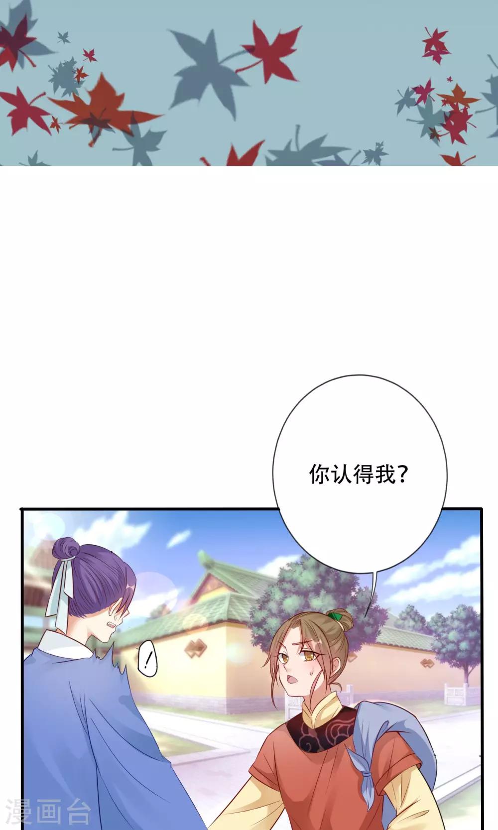 《风流王爷俏驸马》第3话 进入王府 第2页