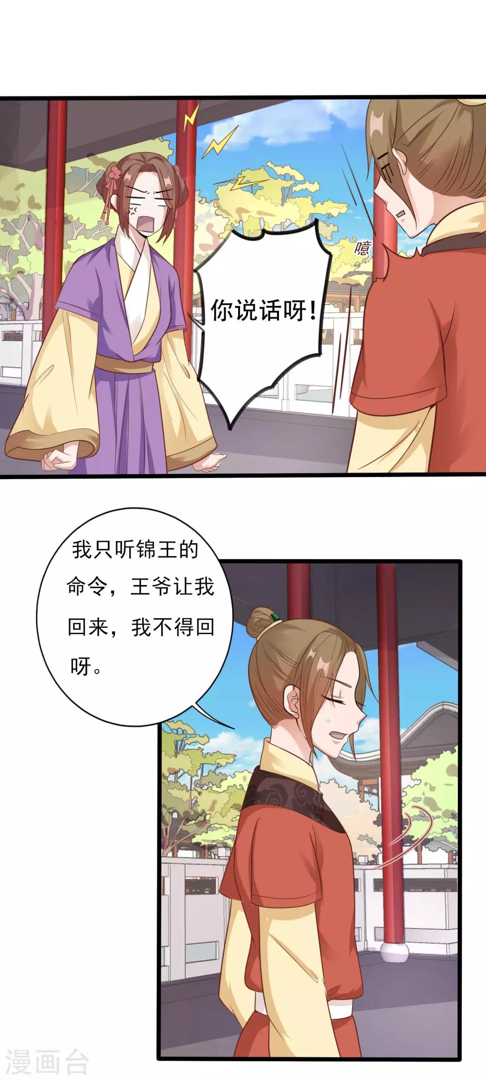 《风流王爷俏驸马》第10话 银票 第13页