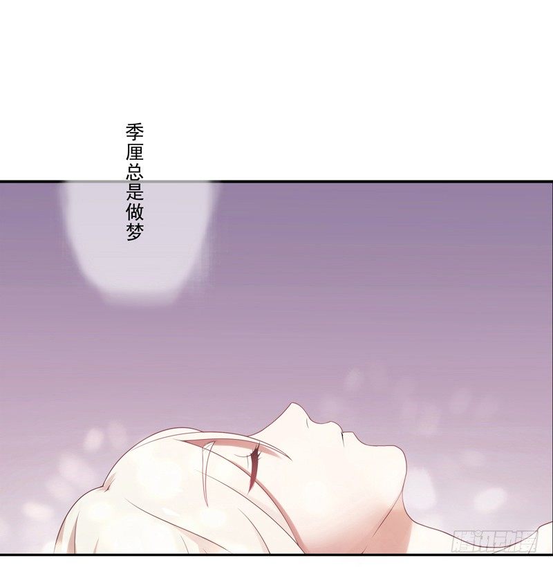 《为你盛放》启程 第3页