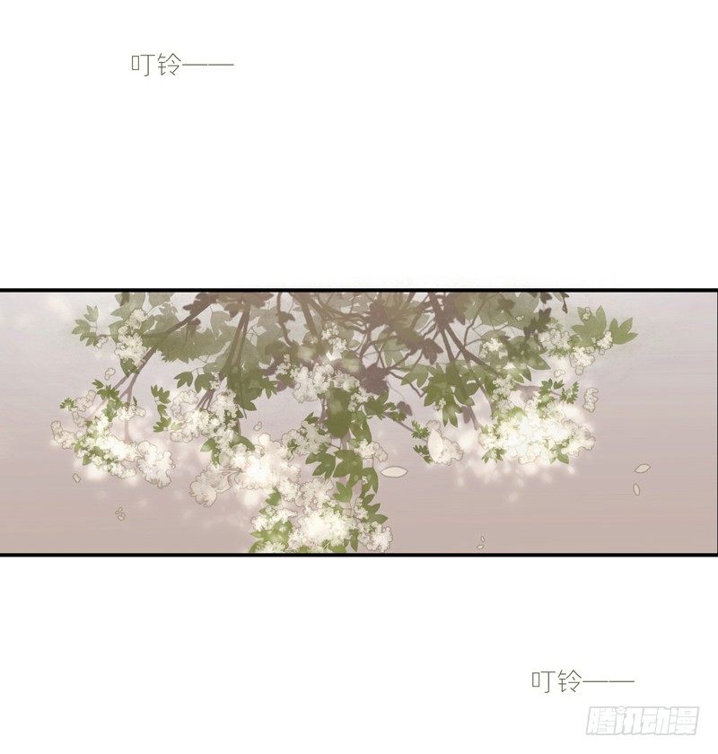《为你盛放》启程 第5页