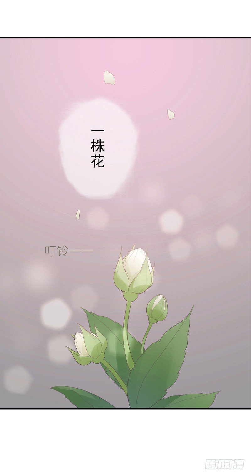 《为你盛放》启程 第6页
