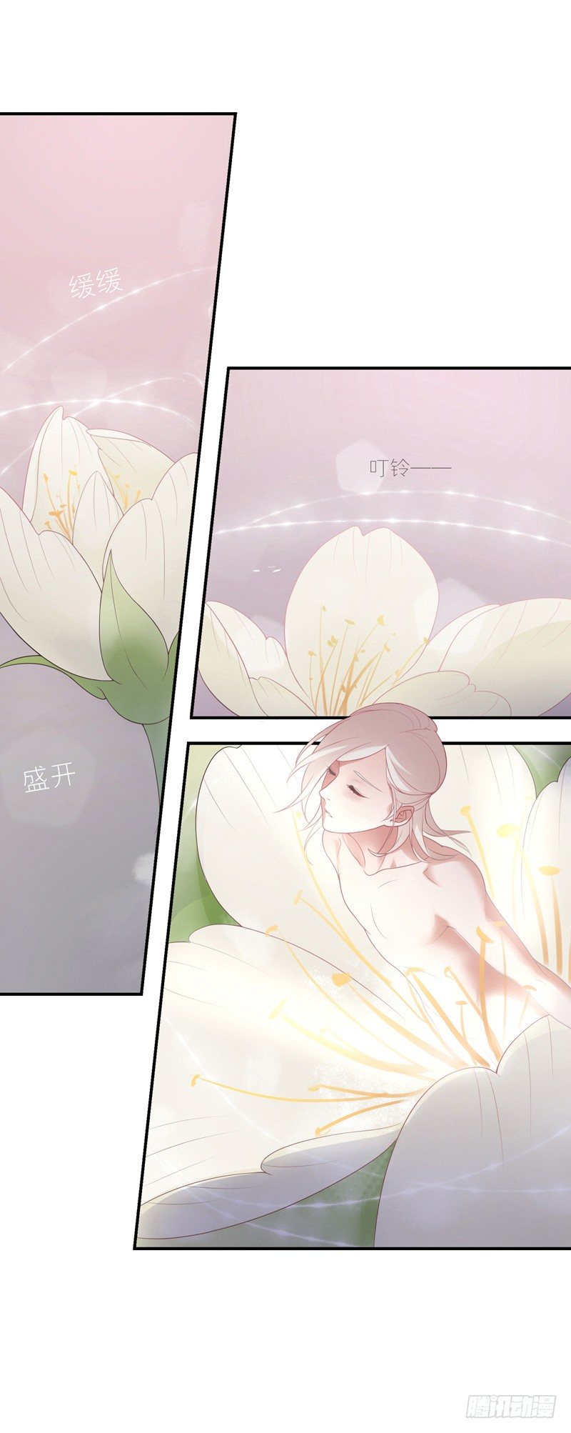 《为你盛放》启程 第7页
