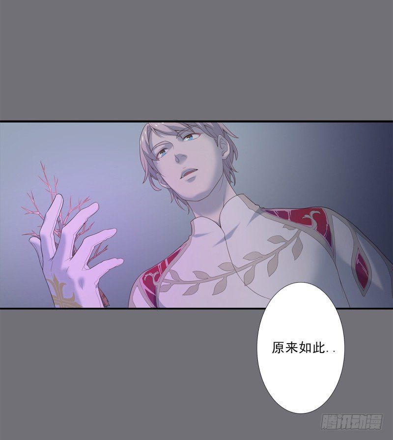 《为你盛放》相遇 第11页