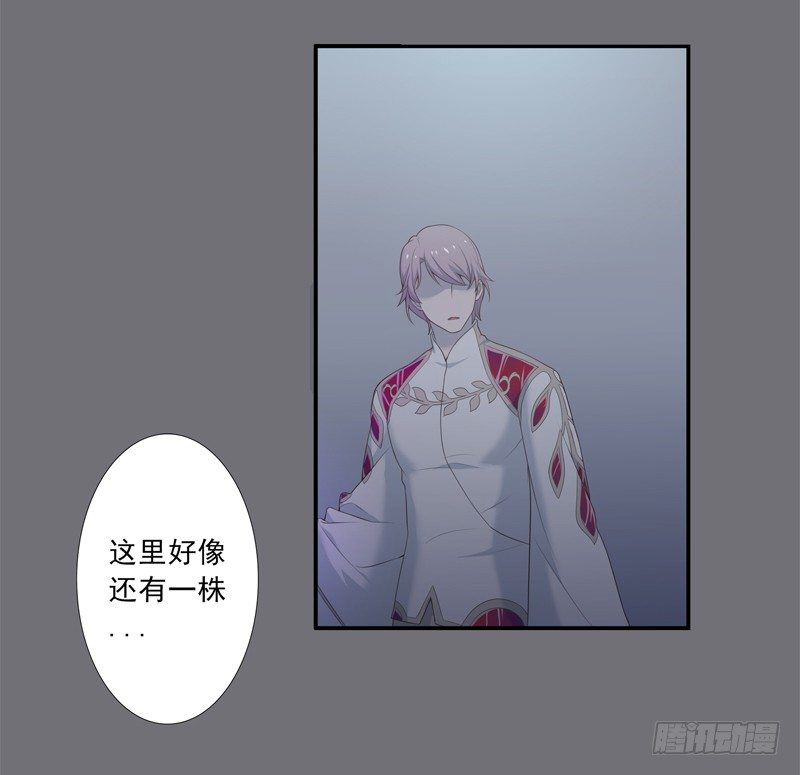《为你盛放》相遇 第16页