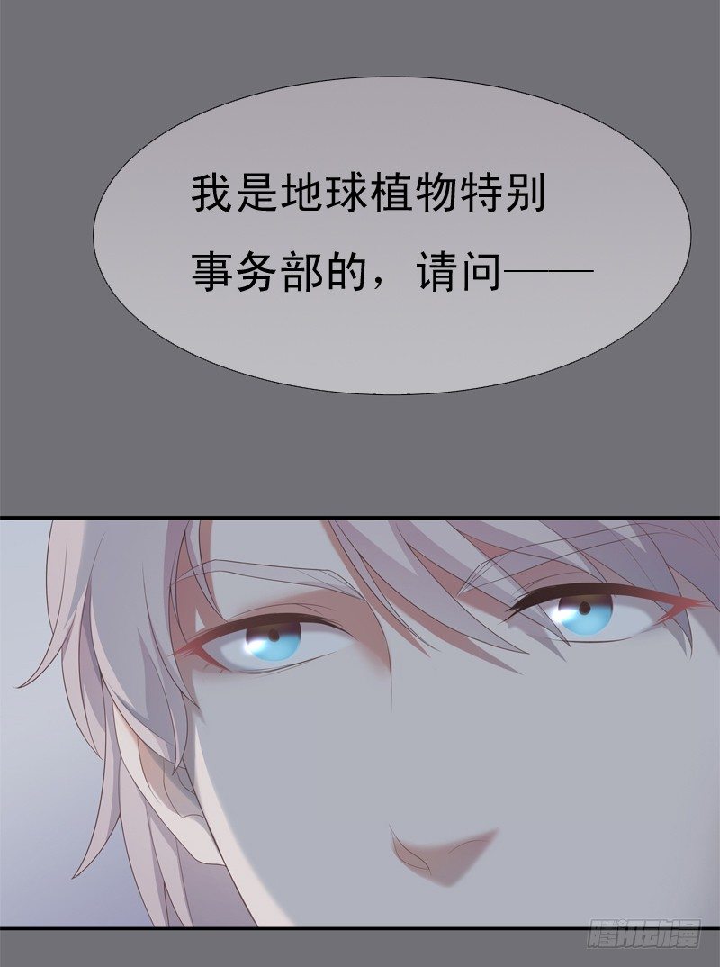 《为你盛放》相遇 第36页