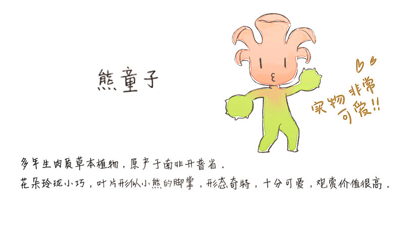 《为你盛放》相遇 第41页
