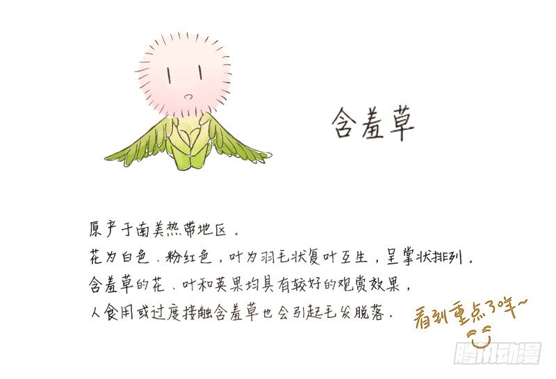 《为你盛放》相遇 第42页
