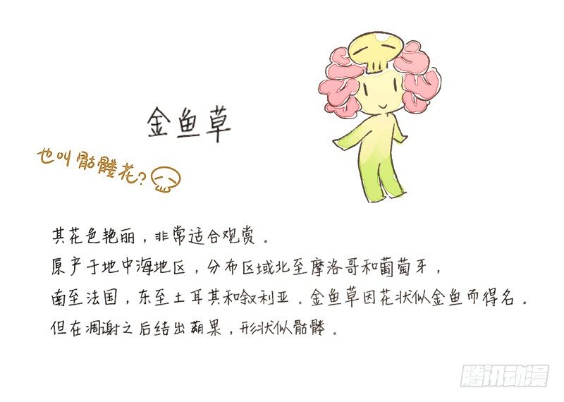 《为你盛放》相遇 第43页