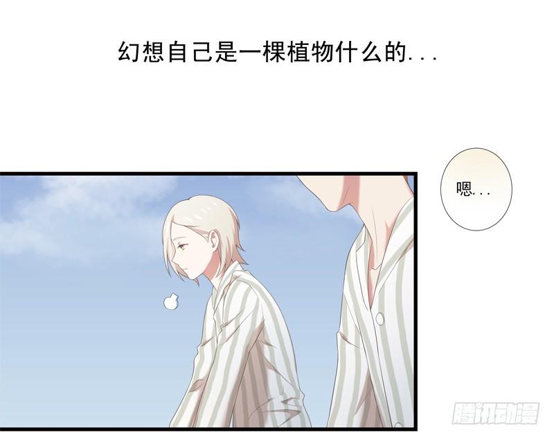 《为你盛放》奇怪的声音 第12页
