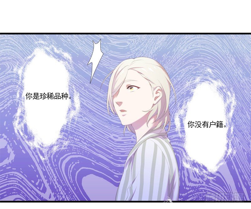 《为你盛放》奇怪的声音 第23页