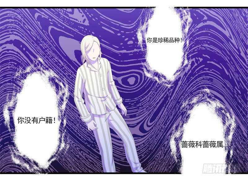 《为你盛放》奇怪的声音 第24页