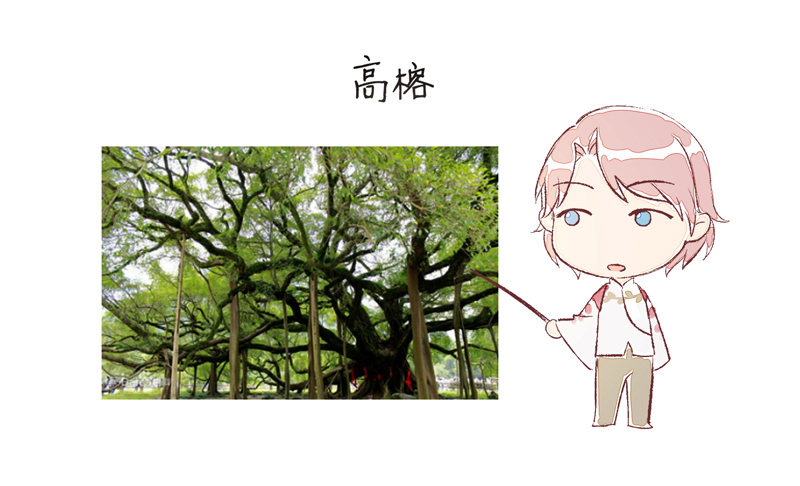 《为你盛放》奇怪的声音 第34页