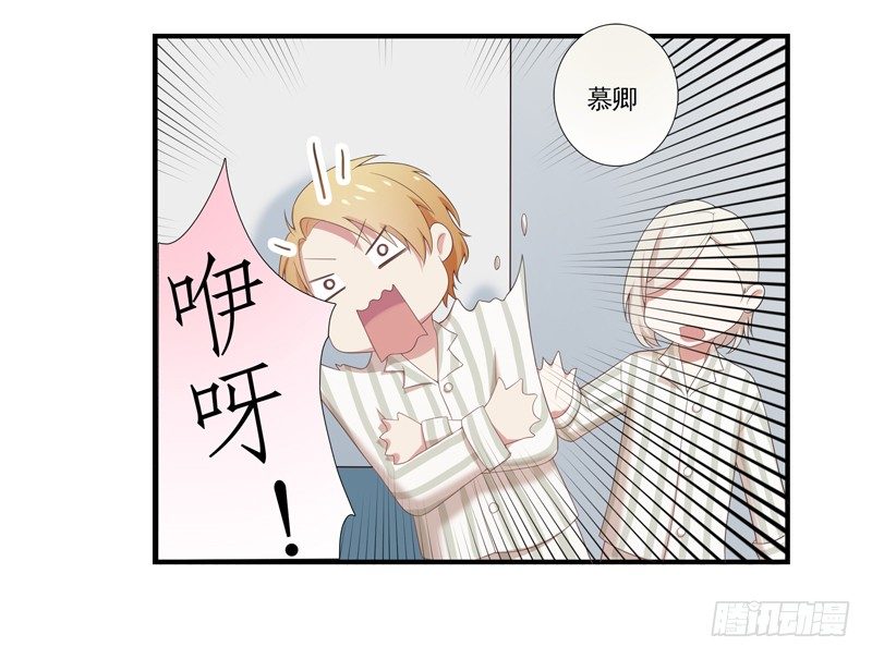 《为你盛放》同类 第15页