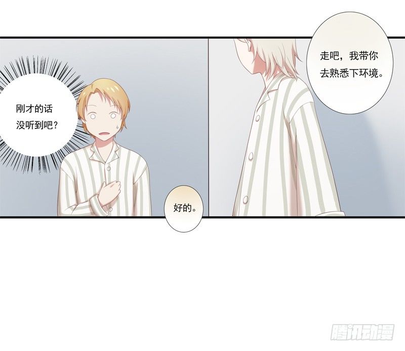 《为你盛放》同类 第17页