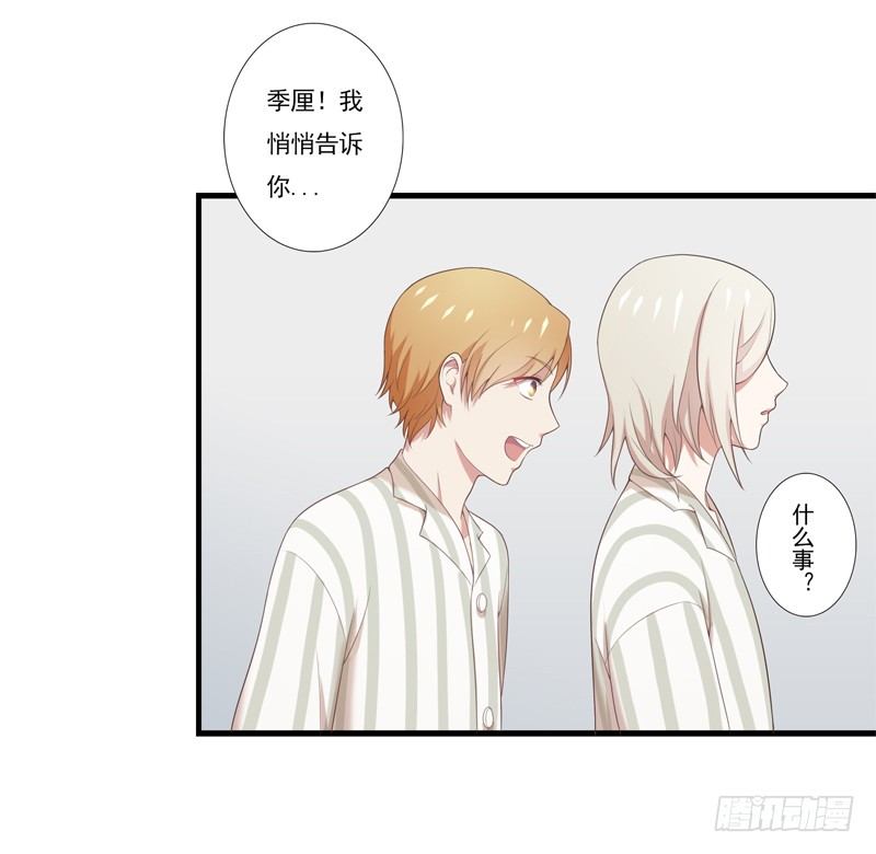 《为你盛放》同类 第19页