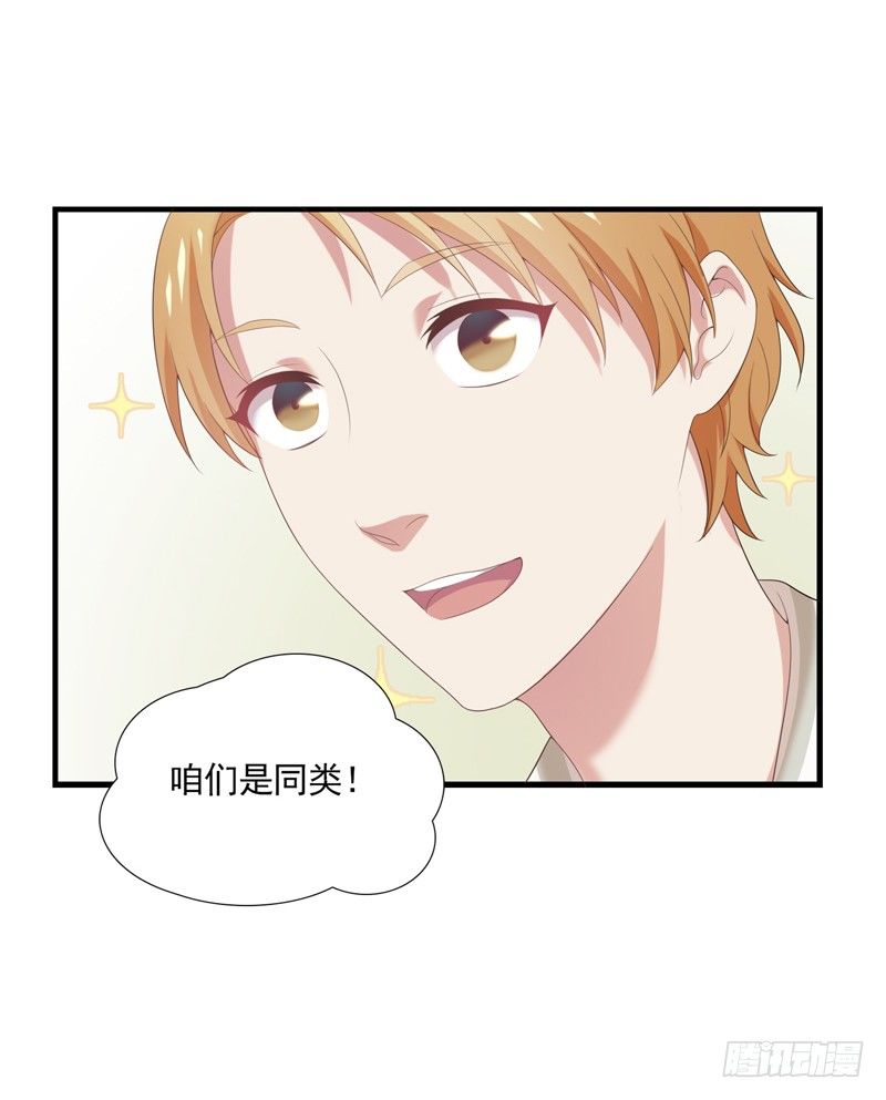 《为你盛放》同类 第21页