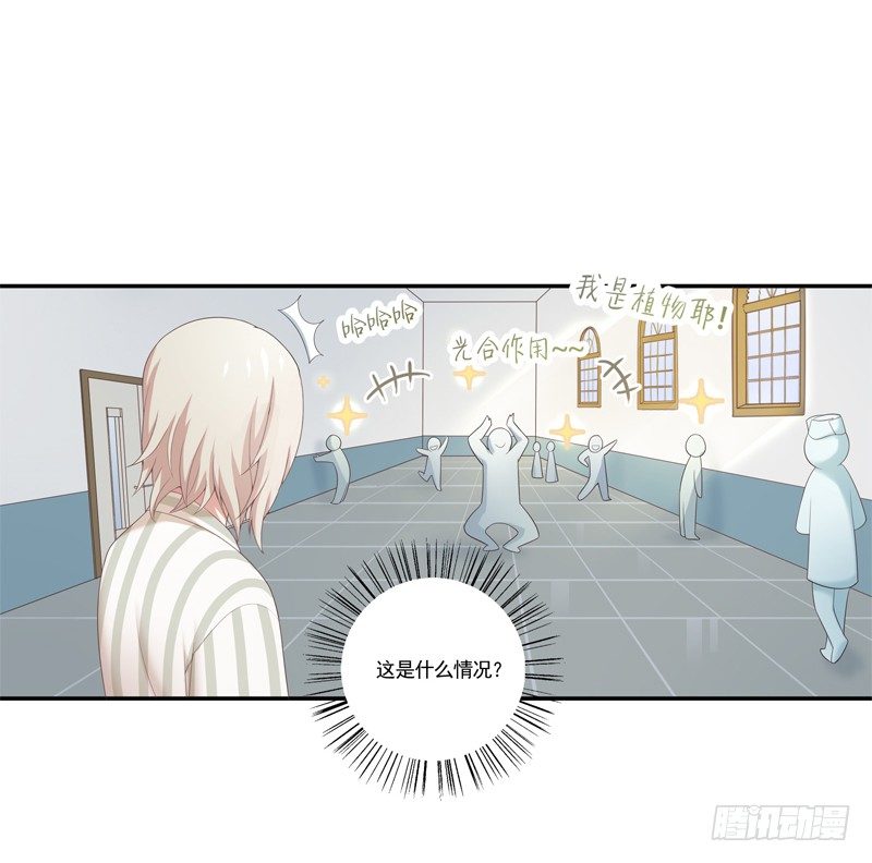 《为你盛放》同类 第22页