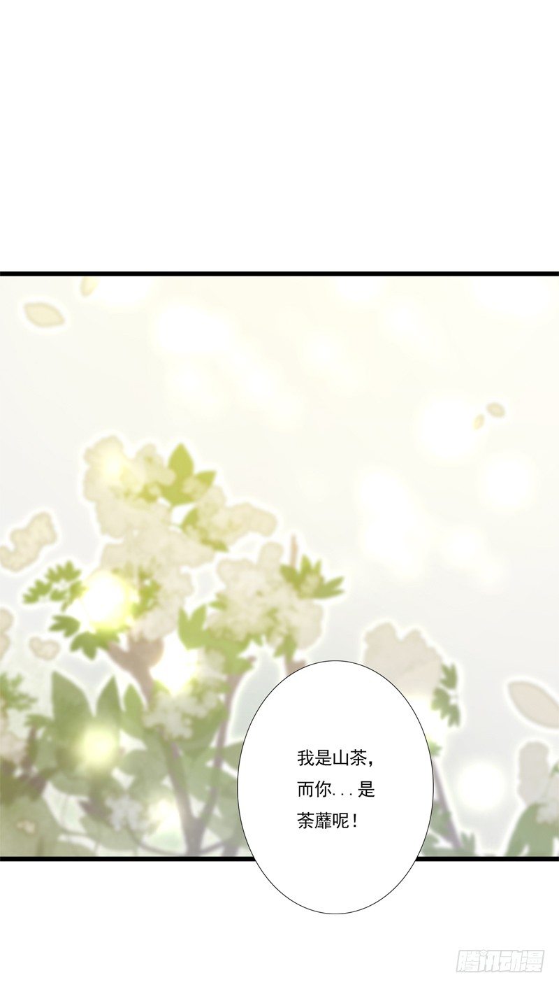 《为你盛放》同类 第26页