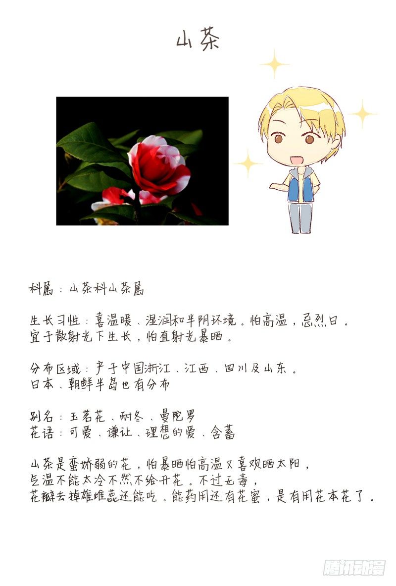 《为你盛放》同类 第34页