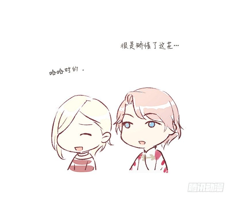 《为你盛放》同类 第35页
