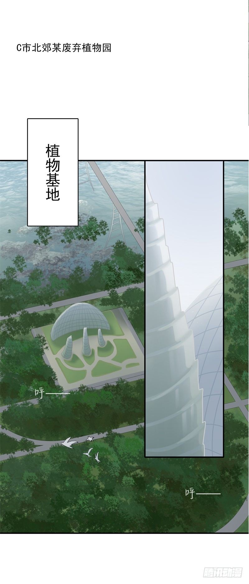 《为你盛放》秘密基地 第1页