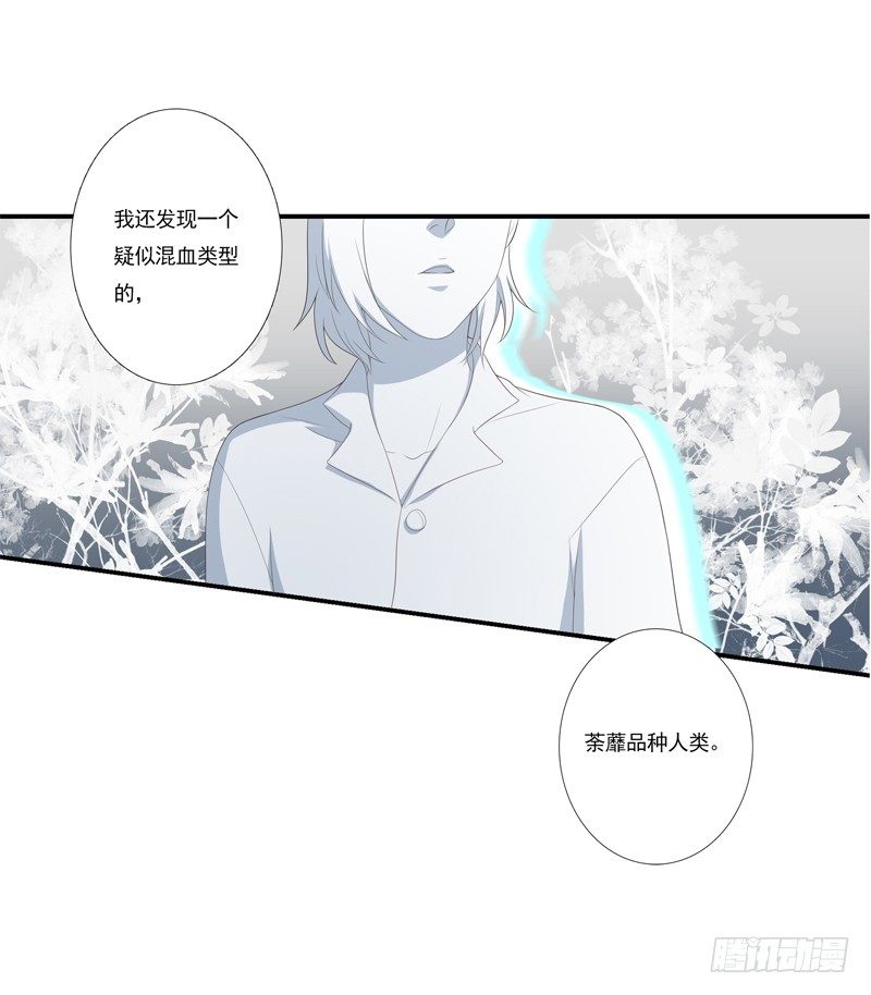 《为你盛放》秘密基地 第26页