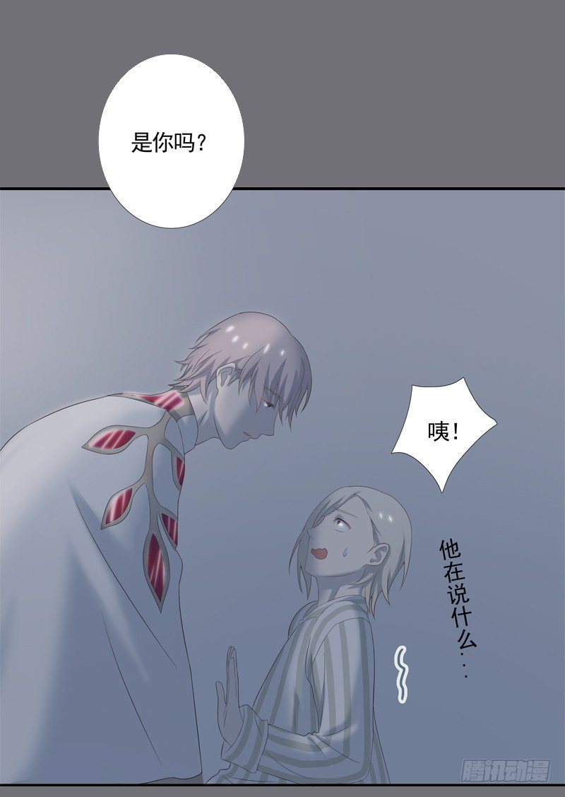 《为你盛放》新的决定 第15页