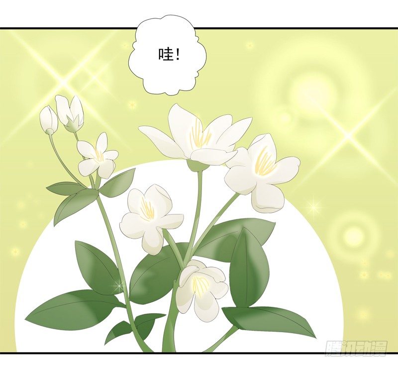 《为你盛放》新的决定 第19页