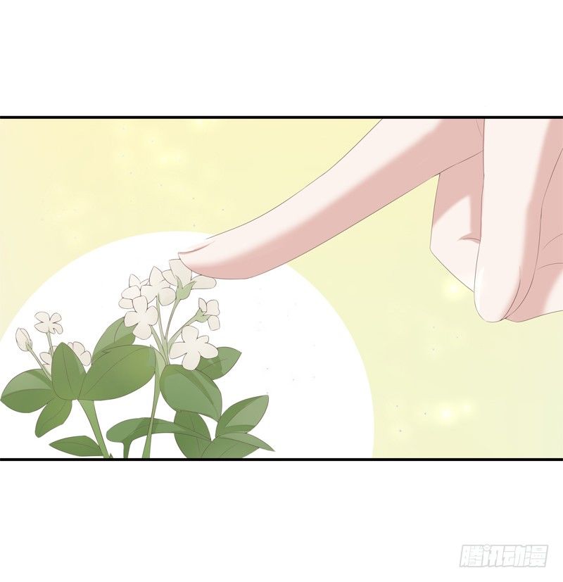 《为你盛放》新的决定 第22页
