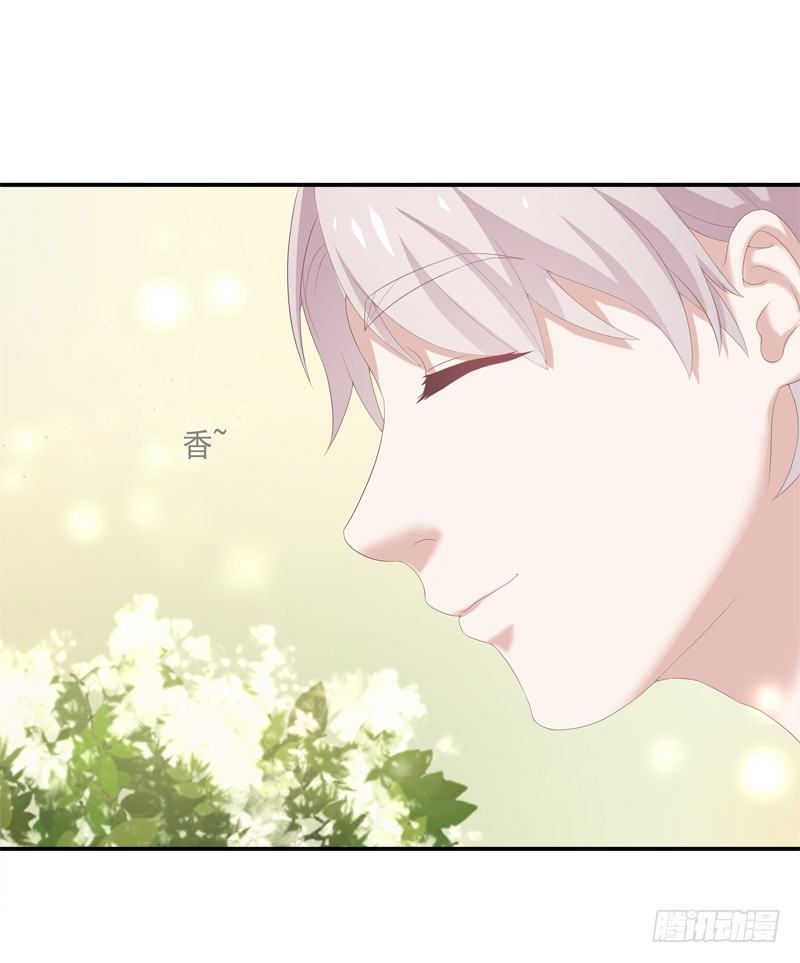 《为你盛放》新的决定 第23页