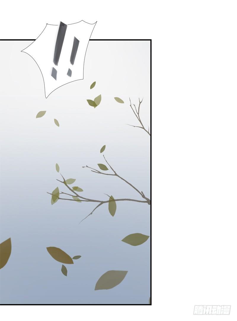 《为你盛放》新的决定 第25页