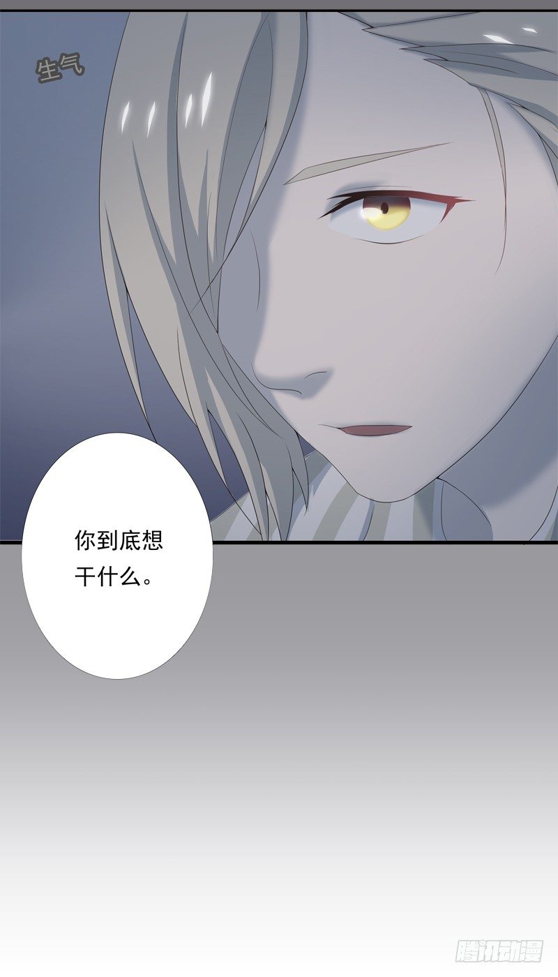 《为你盛放》新的决定 第39页