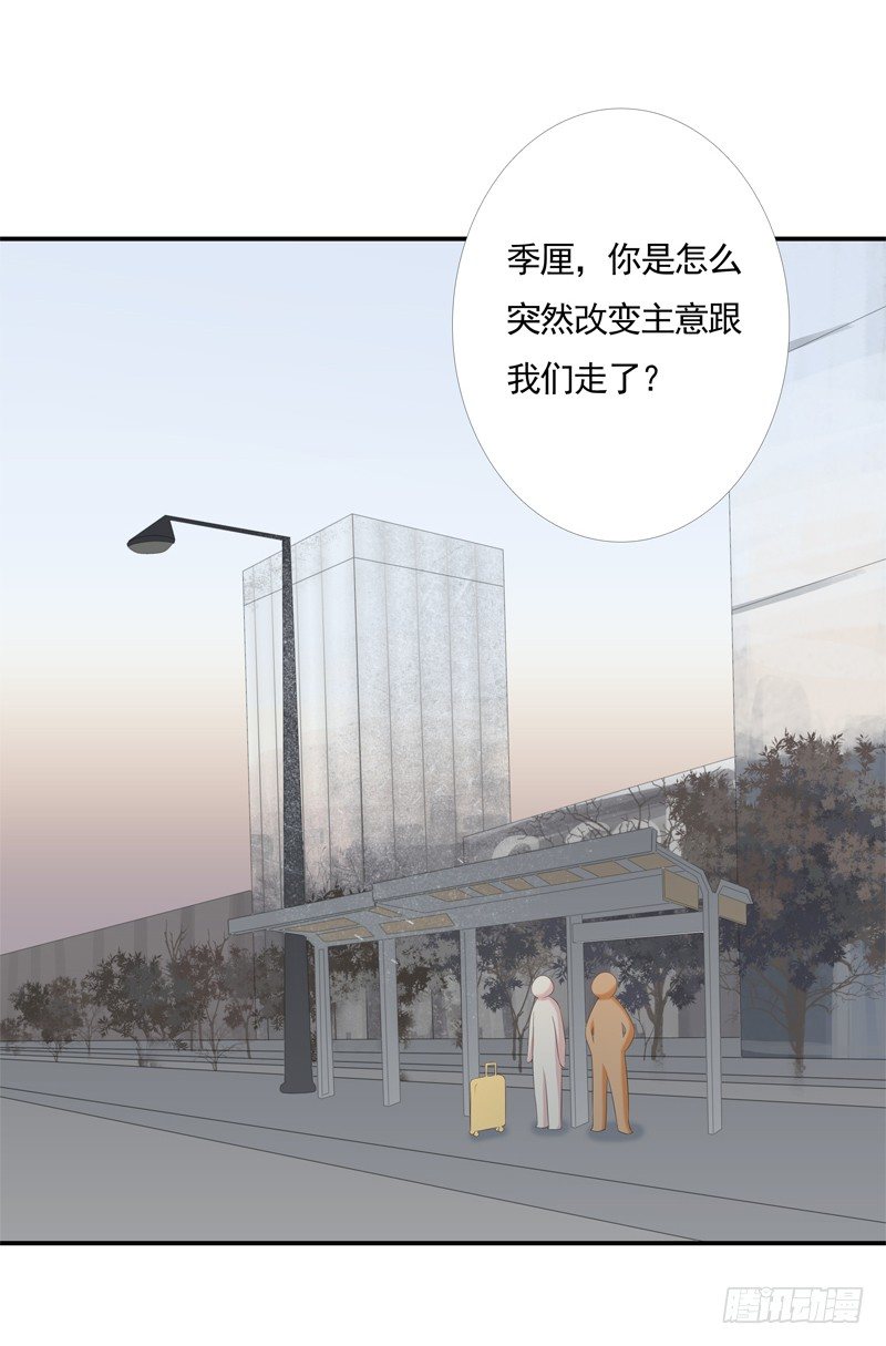 《为你盛放》新的决定 第3页