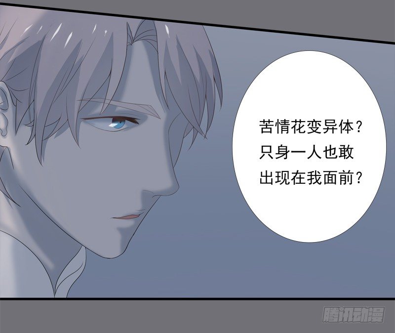 《为你盛放》夜袭 第27页