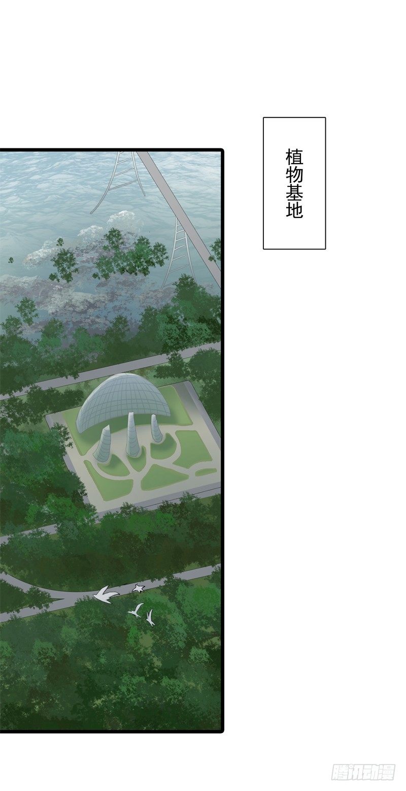 《为你盛放》童年 第31页
