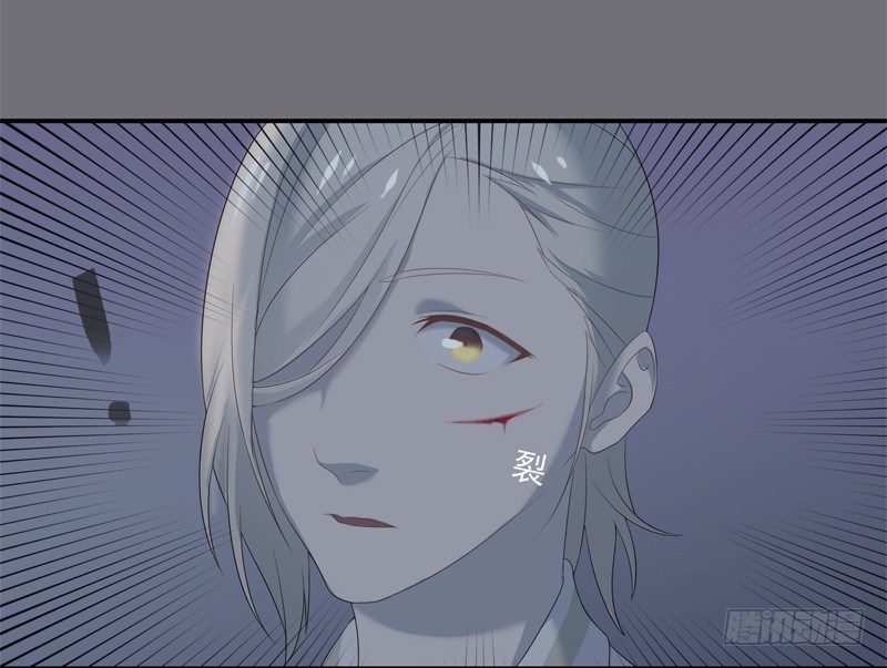 《为你盛放》同行 第16页