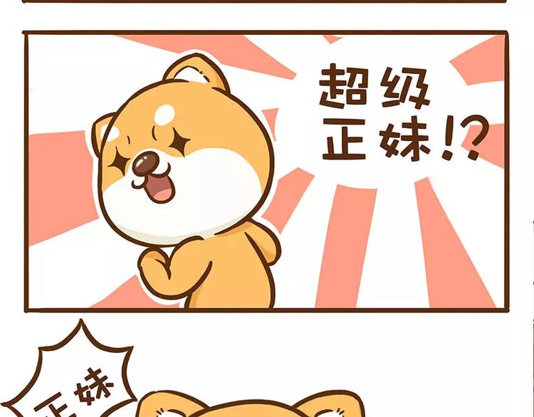 《ODD单身联盟》第7话 二哈的超级正妹 第5页