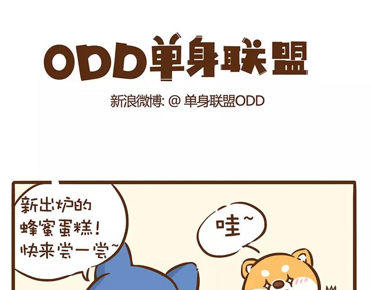 《ODD单身联盟》第11话 蜜蜂蛋糕 第1页
