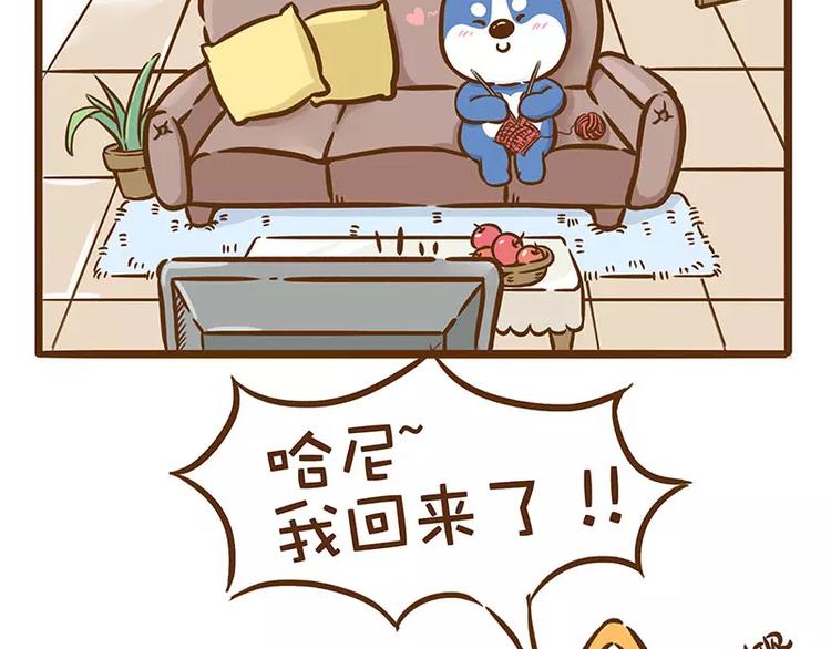 《ODD单身联盟》第13话 炸毛 第3页