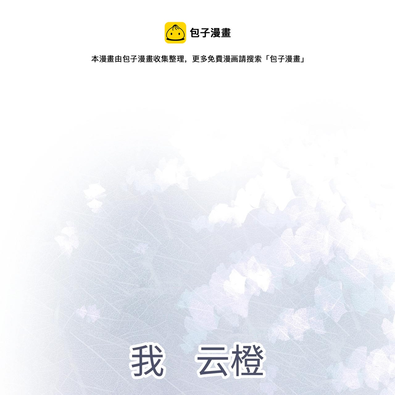 《团宠公主暴君的小萌包甜又飒》序章 第1页