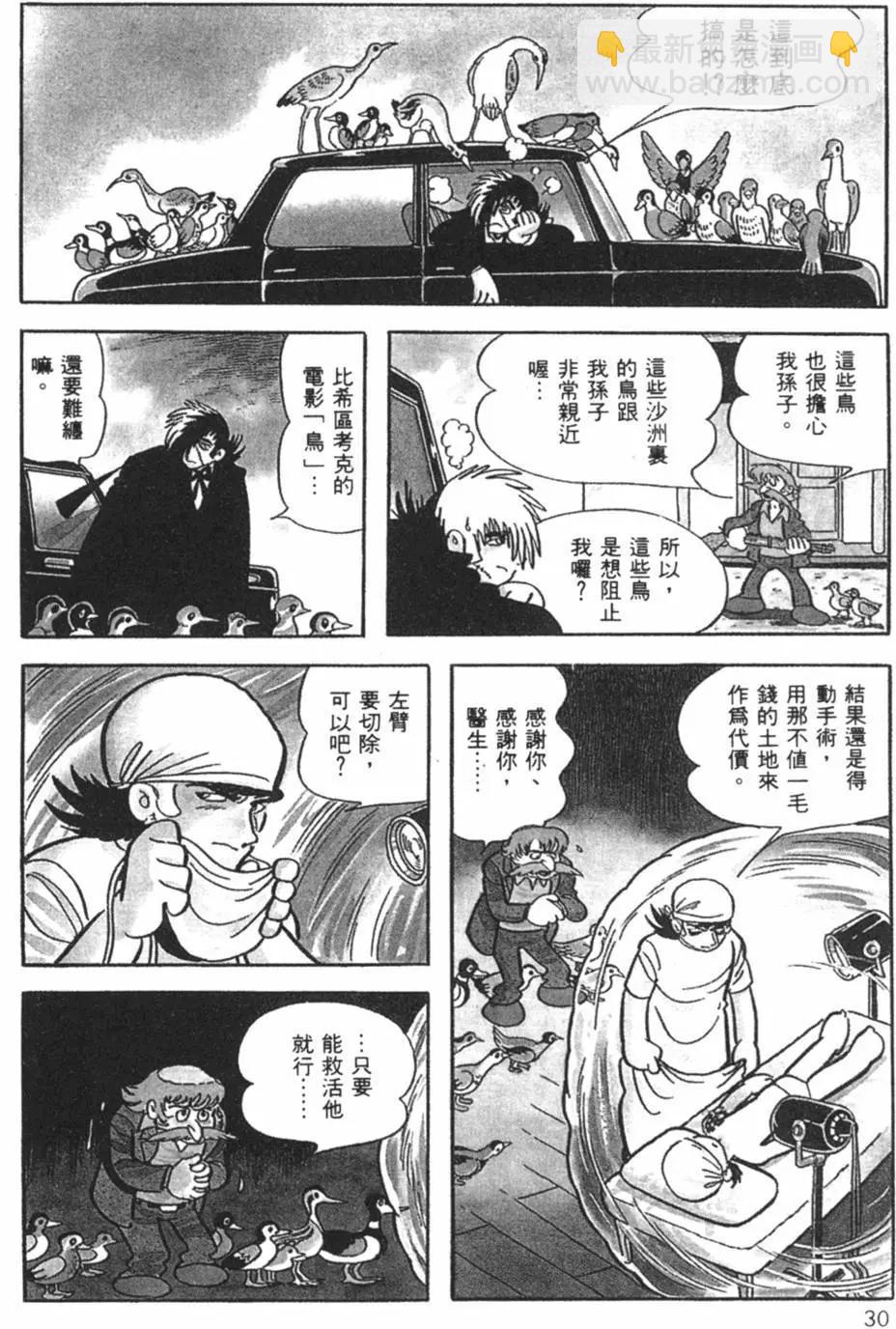 《怪医黑杰克》第12卷 第30页